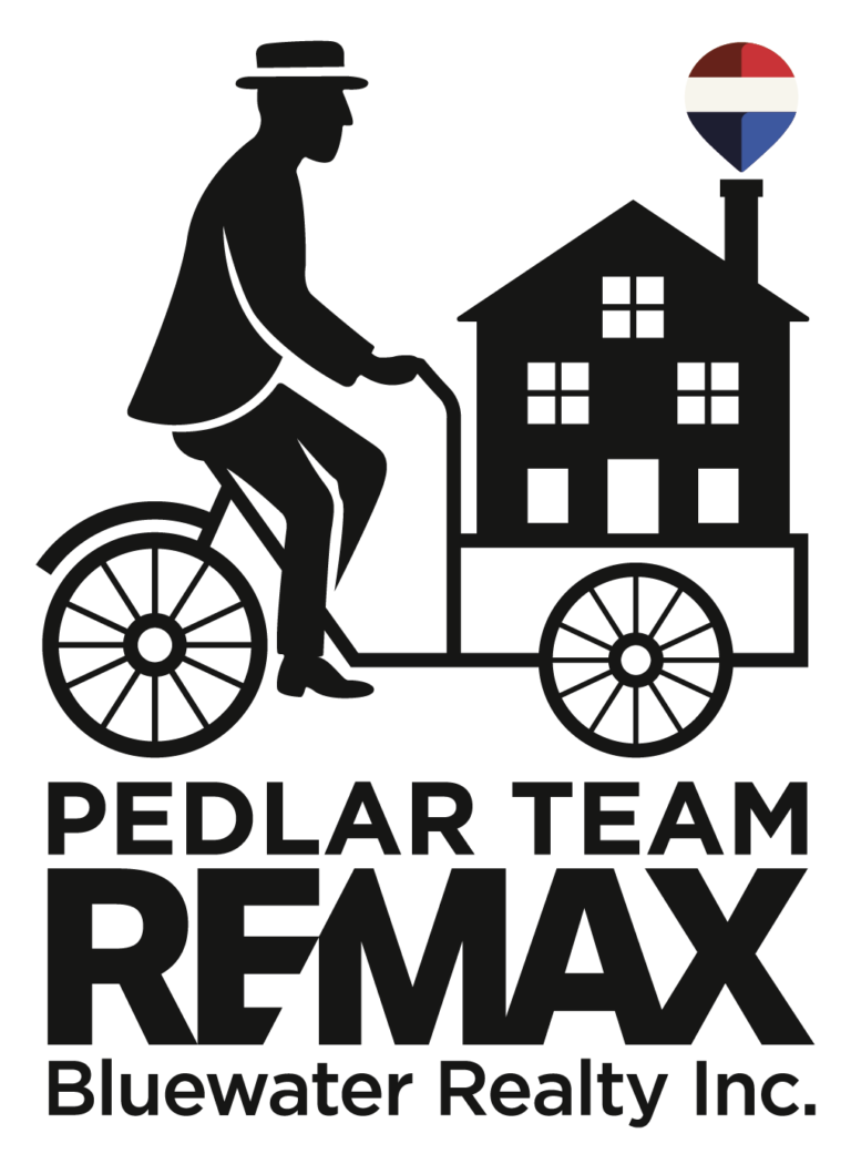14456_509b2cc8_PedlarTeamBicycle_AllBlack_HR